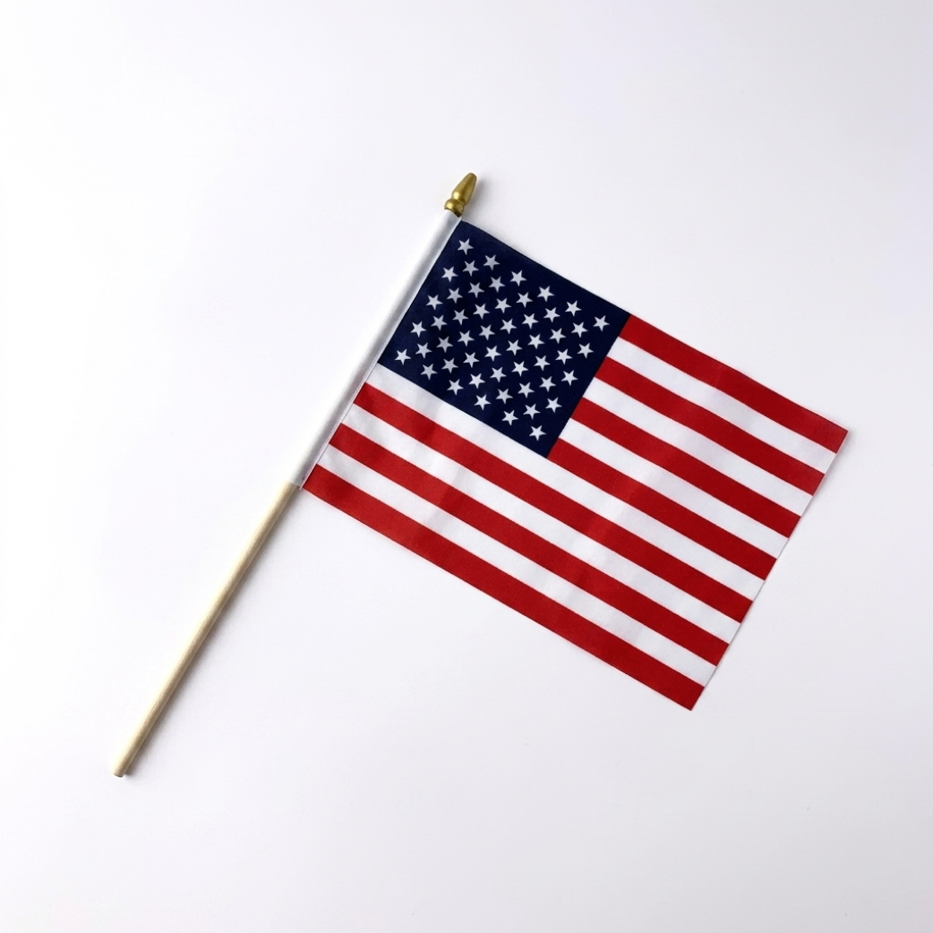 USA 250th Eagle Brooch Sets
