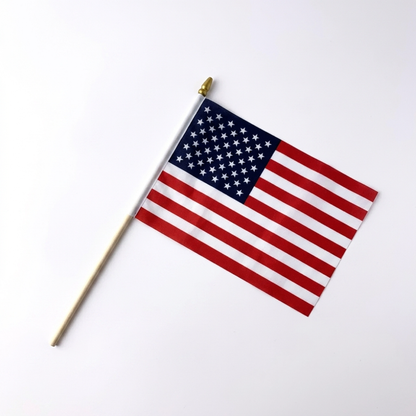 USA 250th Eagle Brooch Sets